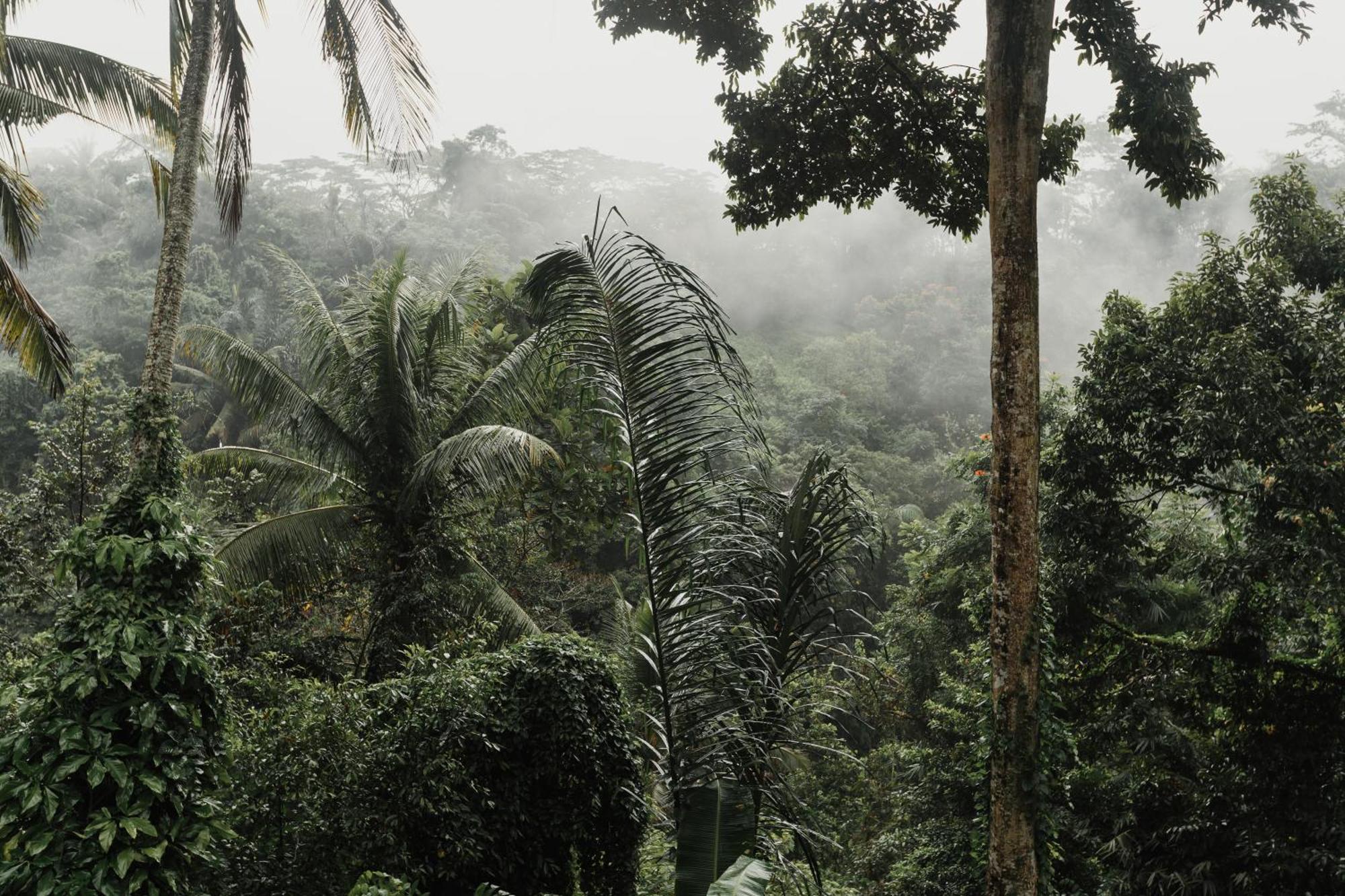 The Iyang Ubud Zewnętrze zdjęcie